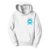 Youth Fan Favorite Fleece Pullover Hooded Sweatshirt Thumbnail