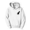Youth Fan Favorite Fleece Pullover Hooded Sweatshirt Thumbnail