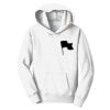 Youth Fan Favorite Fleece Pullover Hooded Sweatshirt Thumbnail